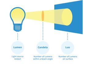 Choosing LED Bulbs