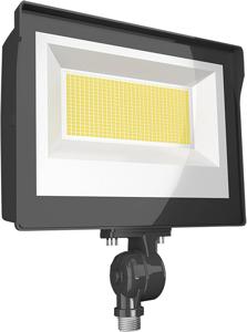 Architectural Flood Lighting