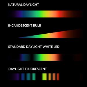 Circadian Rhythm Lighting