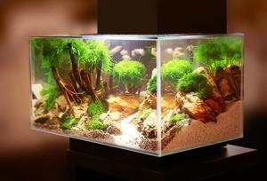 LED Light Spectrum for Aquariums
