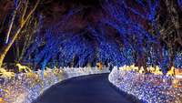 //ijrorwxhlqirlm5p.ldycdn.com/cloud/lrBpqKirllSRklkknrmojq/Top-LED-Lighting-Manufacturers-and-Suppliers-in-Australia.jpg