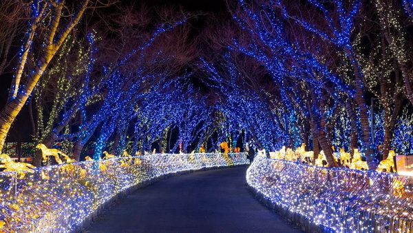 Top LED Lighting Manufacturers and Suppliers in Australia